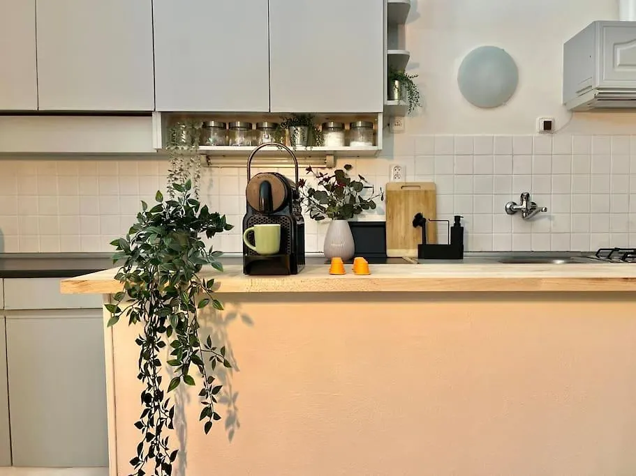 Beautiful New Town Apartment Prague Czech Republic