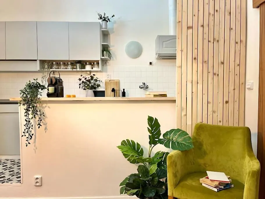 Beautiful New Town Apartment Prague 0*,