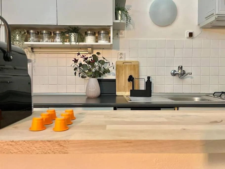 Beautiful New Town Apartment Prague